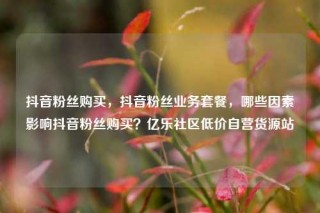 抖音粉丝购买，抖音粉丝业务套餐，哪些因素影响抖音粉丝购买？亿乐社区低价自营货源站