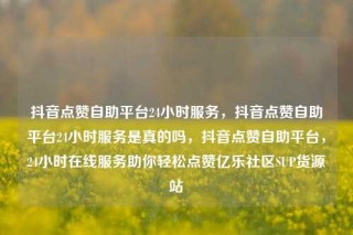 抖音点赞自助平台24小时服务，抖音点赞自助平台24小时服务是真的吗，抖音点赞自助平台，24小时在线服务助你轻松点赞亿乐社区SUP货源站