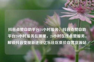 抖音点赞自助平台24小时服务，抖音点赞自助平台24小时服务在哪里，24小时在线点赞服务，解锁抖音变现新途径亿乐社区低价自营货源站