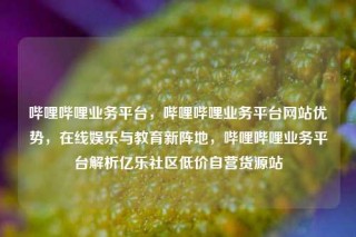 哔哩哔哩业务平台，哔哩哔哩业务平台网站优势，在线娱乐与教育新阵地，哔哩哔哩业务平台解析亿乐社区低价自营货源站