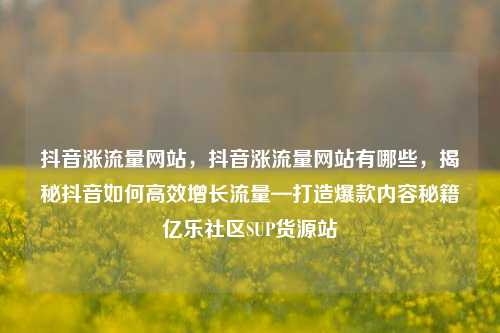 抖音涨流量网站	，抖音涨流量网站有哪些，揭秘抖音如何高效增长流量—打造爆款内容秘籍亿乐社区SUP货源站  第1张
