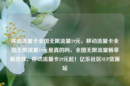 移动流量卡全国无限流量19元，移动流量卡全国无限流量19元是真的吗，全国无限流量畅享新选择	，移动流量卡19元起！亿乐社区SUP货源站  第1张