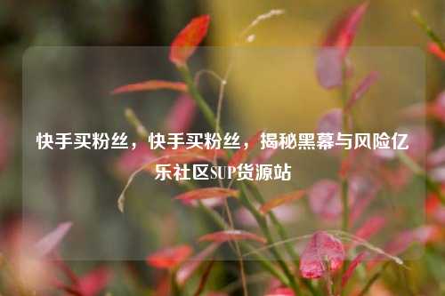 快手买粉丝，快手买粉丝，揭秘黑幕与风险亿乐社区SUP货源站  第1张