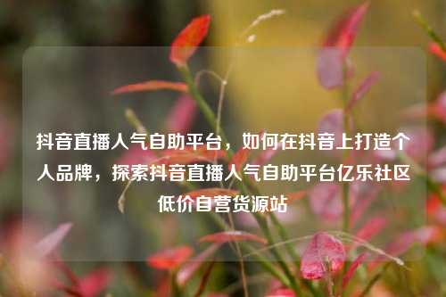 抖音直播人气自助平台，如何在抖音上打造个人品牌，探索抖音直播人气自助平台亿乐社区低价自营货源站  第1张