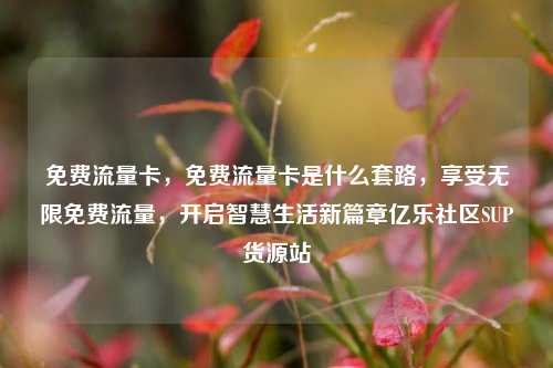 免费流量卡	，免费流量卡是什么套路，享受无限免费流量，开启智慧生活新篇章亿乐社区SUP货源站  第1张