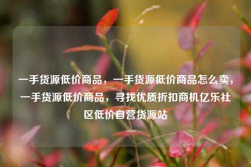 一手货源低价商品，一手货源低价商品怎么卖，一手货源低价商品	，寻找优质折扣商机亿乐社区低价自营货源站  第1张